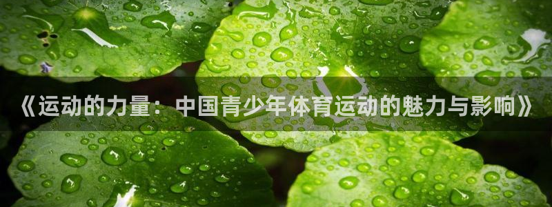 bbin视讯游戏平台