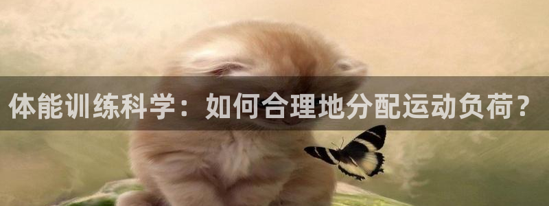 bbin视讯游戏官网