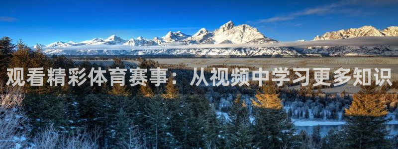 bbin视讯下