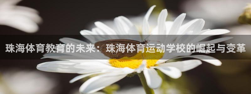bbin视讯游戏官网